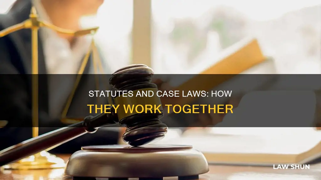 what is a statute and a case law