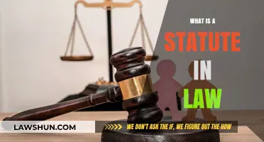 Understanding Statutes: The Building Blocks of Written Law