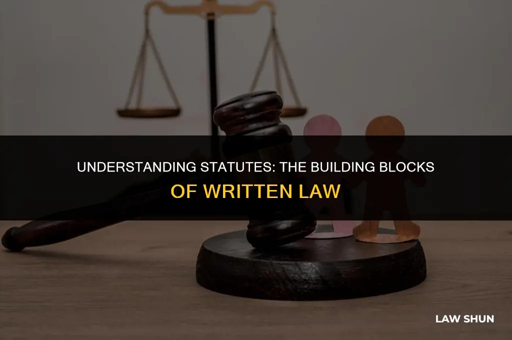 what is a statute in law