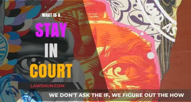 Understanding Court Stays: Legal Process, Purpose, and Implications Explained