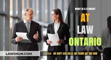 Understanding the Role of a Student-at-Law in Ontario
