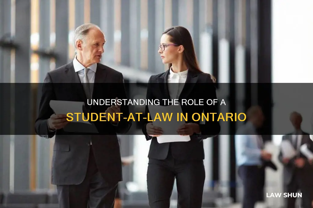 what is a student at law ontario