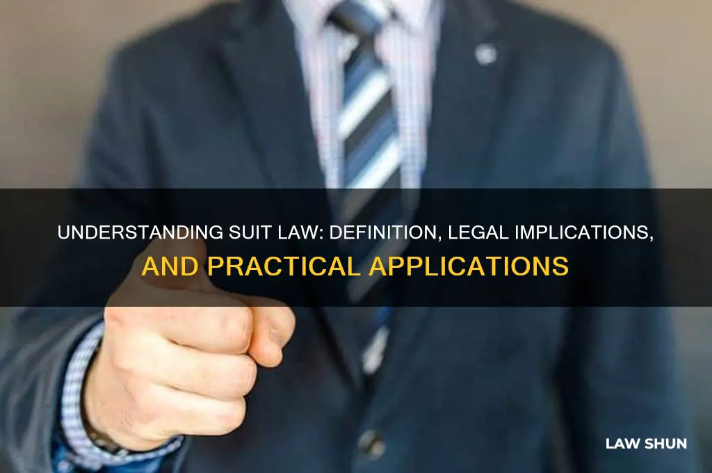 what is a suit law definition