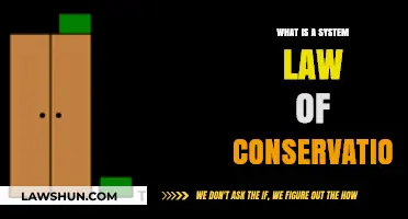 Understanding the System Law of Conservation: Principles and Applications