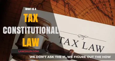Constitutional Law: Understanding Tax Regulations