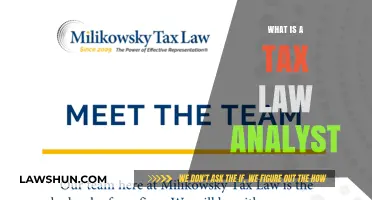 Understanding Tax Law: Analyst's Role