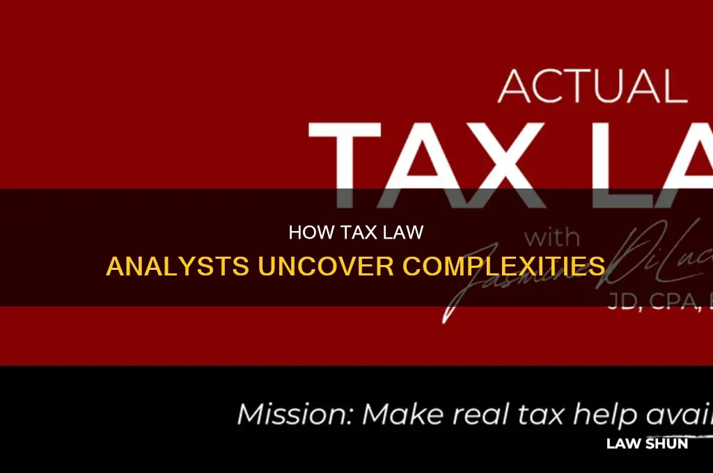 what is a tax law anylist