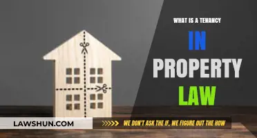 Understanding Tenancy: Key Concepts in Property Law Explained