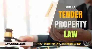 Understanding Tender Property Law: Key Concepts and Legal Implications
