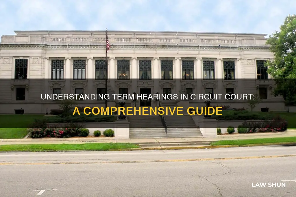 what is a term hearing in circuit court