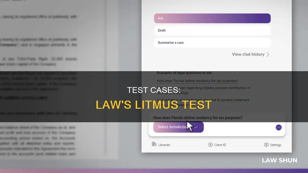 what is a test case in law