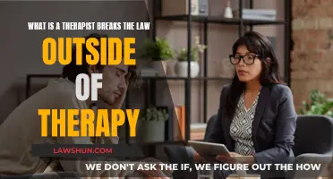 Therapist's Legal Woes: When Private Life Breaches Therapy Ethics