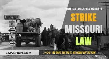Understanding Timely Filed Motions to Strike Under Missouri Law