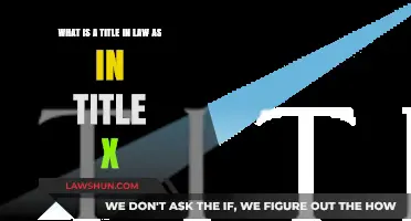 Understanding Legal Titles: Decoding the Meaning of Title X in Law