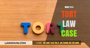Tort Law Cases: Understanding Personal Injury Claims