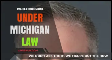Understanding Michigan's Trade Secret Law: Definition and Protection