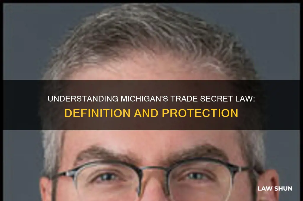 what is a trade secret under michigan law