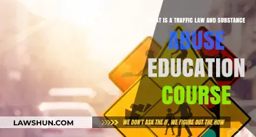 Understanding Traffic Laws and Substance Abuse Education Courses