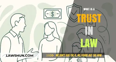 Understanding Trusts in Law: A Comprehensive Guide