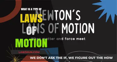 Understanding the Laws of Motion: Types and Practical Applications