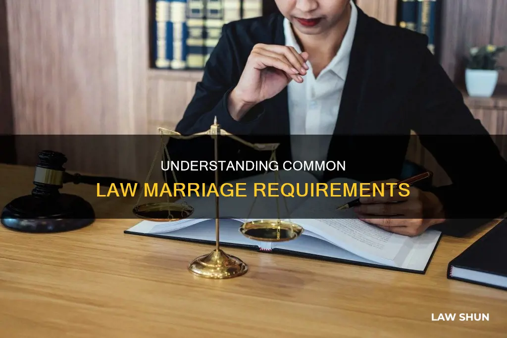 what is a valid common law marriage