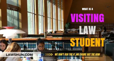 Understanding the Role and Benefits of a Visiting Law Student