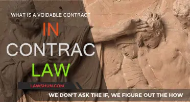 Voidable Contracts: Understanding the Basics