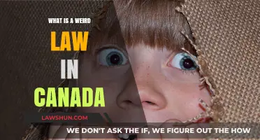 Weird Canadian Laws: Strange but True!