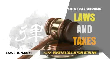 Revising Laws and Taxes: A Necessary Remake