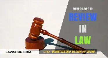 Understanding Writ of Review: Legal Definition, Process, and Importance