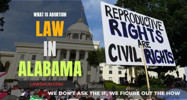 Alabama Abortion Law: Understanding the Strict Regulations