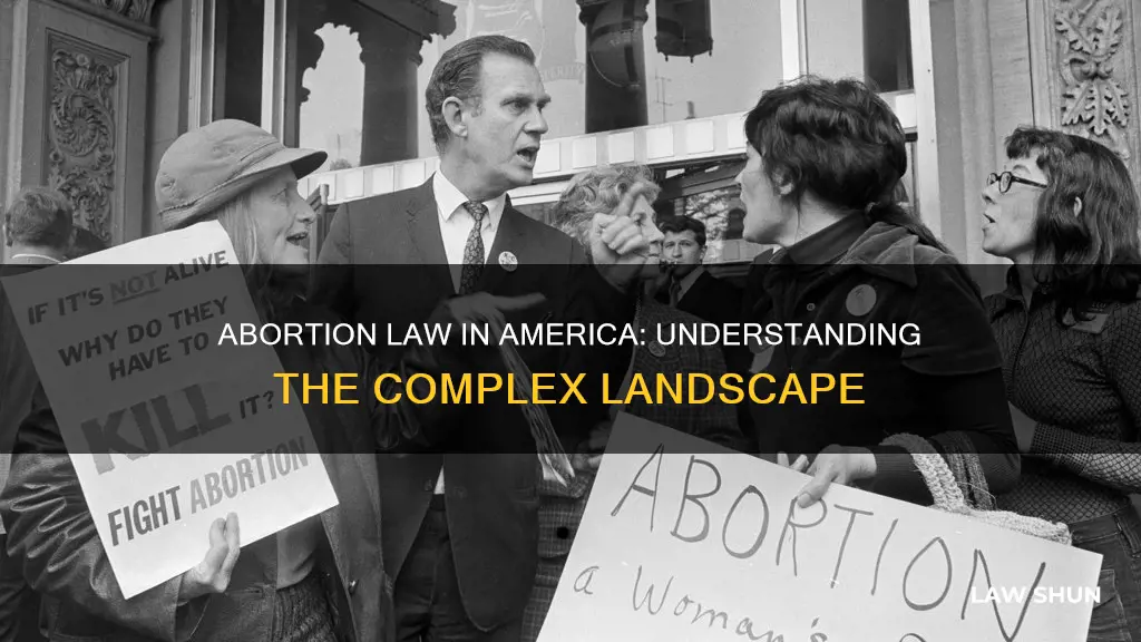 what is abortion law in america