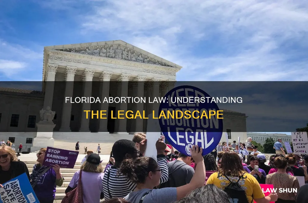 what is abortion law in florida