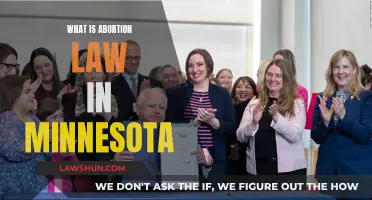 Minnesota's Abortion Law: Understanding the Legal Complexities