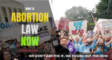 Abortion Law: Current Complexities and Confusion