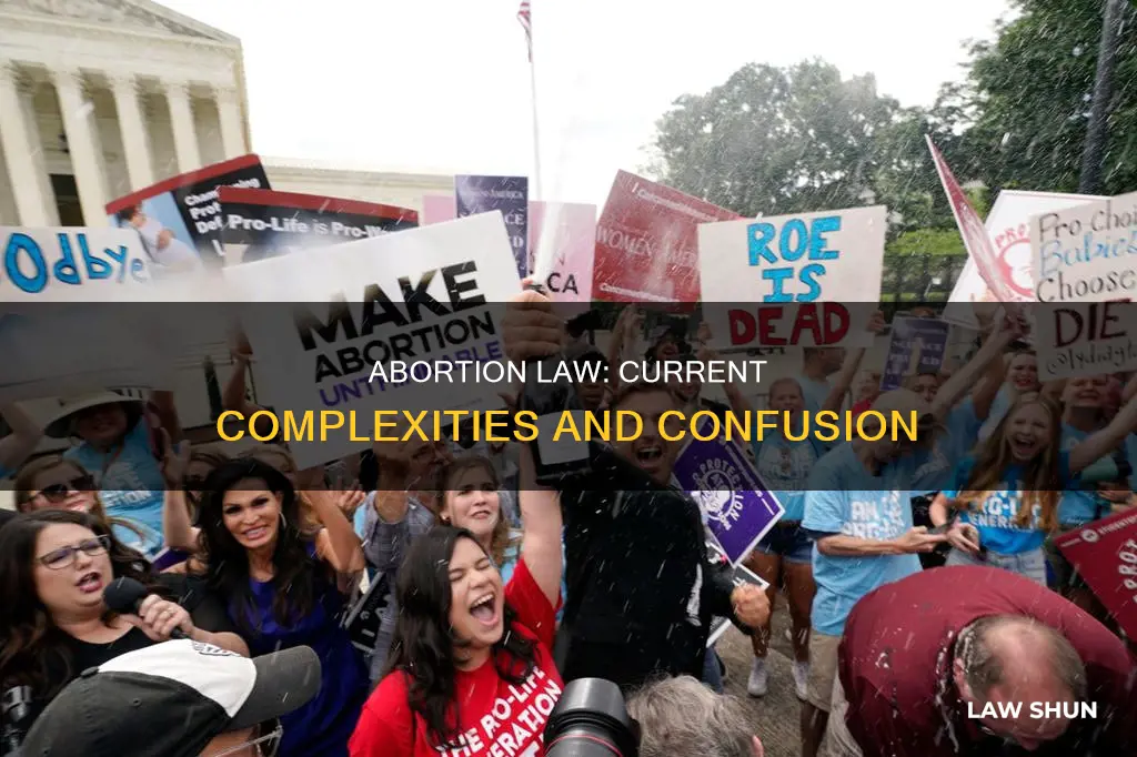 what is abortion law now