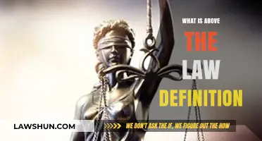 Understanding the Concept of Being Above the Law: Definition Explained