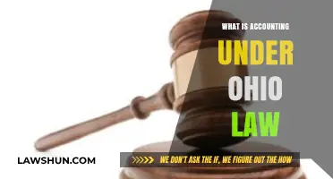 Understanding Ohio's Legal Framework for Accounting Practices and Compliance