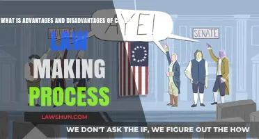 Complex Lawmaking: Balancing Precision, Deliberation, and Potential Pitfalls