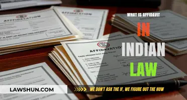 Affidavit in Indian Law: Understanding the Basics