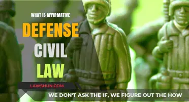 Understanding Affirmative Defense in Civil Law: Key Concepts Explained