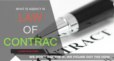 Understanding Agency in Contract Law