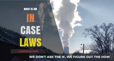 Air in Case Laws: What's the Deal?