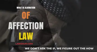 Understanding Alienation of Affection Law: Legal Insights and Implications