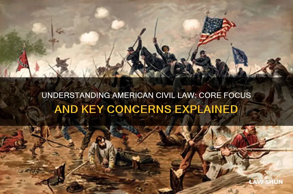 what is american civil law primarily concerned with