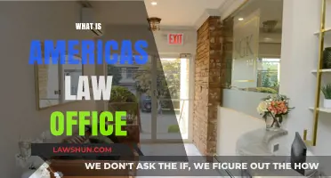 Understanding America's Law Office: Roles, Responsibilities, and Impact