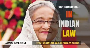Amicus Curiae: India's Friend of the Court