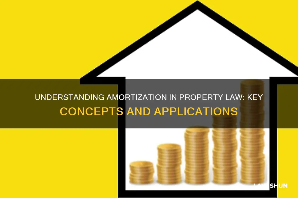 what is amortization in property law