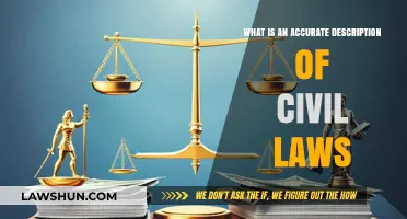 Understanding Civil Laws: A Comprehensive and Accurate Description