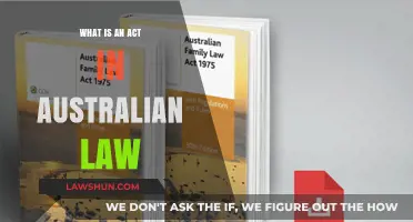 Understanding Acts in Australian Law: Key Concepts and Functions